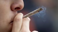 More than 80% of cannabis users admit to driving within hours of consuming: report