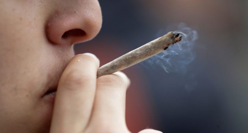More than 80% of cannabis users admit to driving within hours of consuming: report