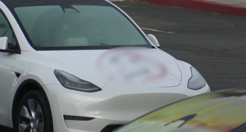 Multiple Teslas vandalized at California dealership