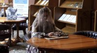 Mysterious deaths and cat infestations of New Zealand parliament