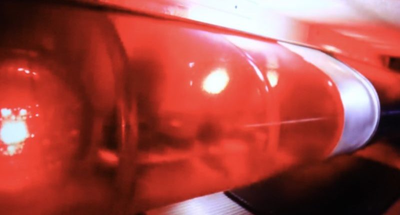 Nearly a dozen animals dead after 85-year-old Wisconsin barn catches fire