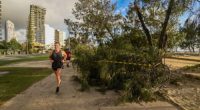The Age, News, 11/03/2025 photo by Justin McManus. Ex-Tropical Cyclone Alfred Gold Coast. Fallen trees along the beach front.
Queensland