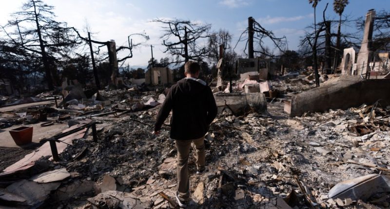Newsom pauses environmental laws to 'fast-track' wildfire prevention