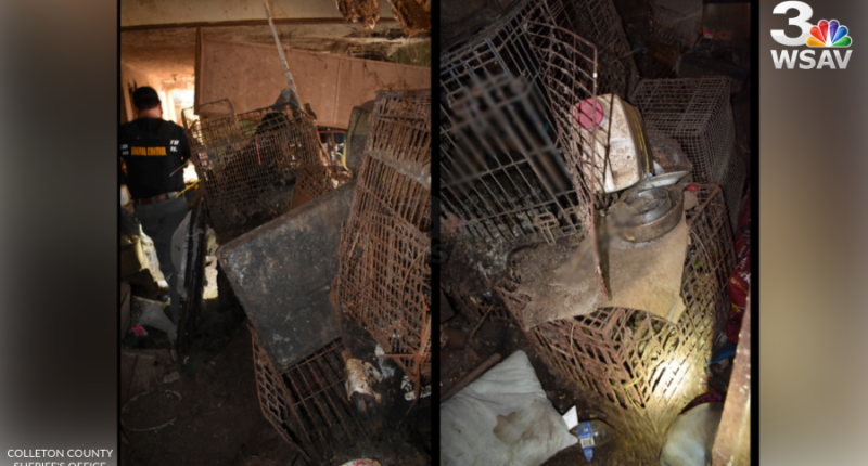 Officials seize over 20 animals, find others dead in Colleton Co.