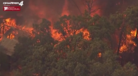 Oklahoma lawmakers push to eradicate invasive red cedar trees amid fire danger