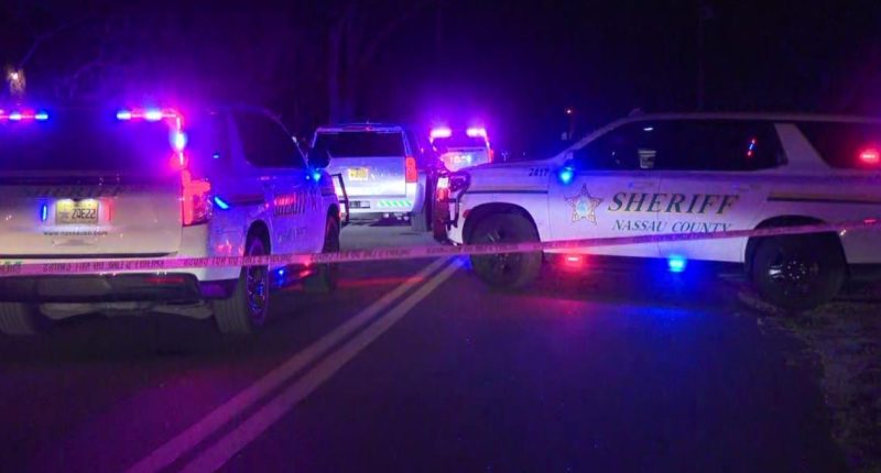 One person detained after Fernandina Beach shooting leaves one hospitalized