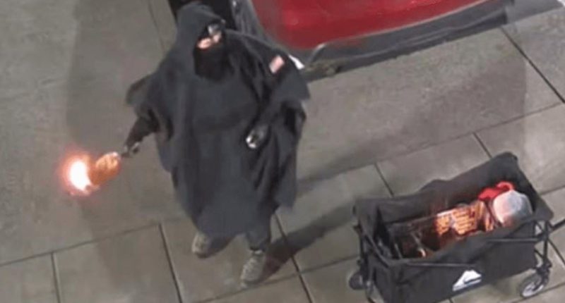 Pam Bondi's chilling warning to Tesla arsonists as they're hit with Trump's wrath