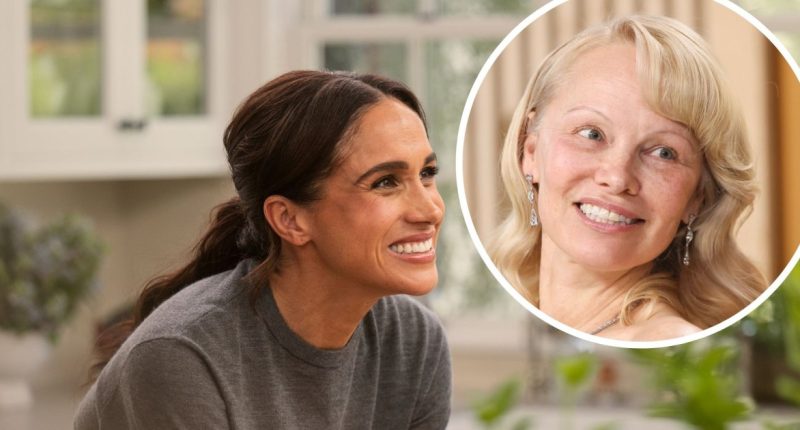 Pamela Anderson Show Producer Responds to Meghan Markle Copycat Claims