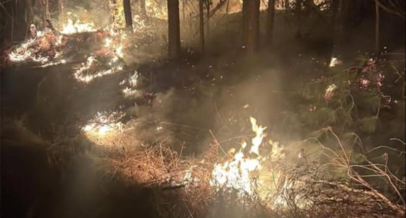 Person of interest identified in 'outbreak' of fires along SE County Road 18