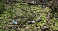 Plastics are seeping into farm fields, food and eventually human bodies. Can they be stopped?