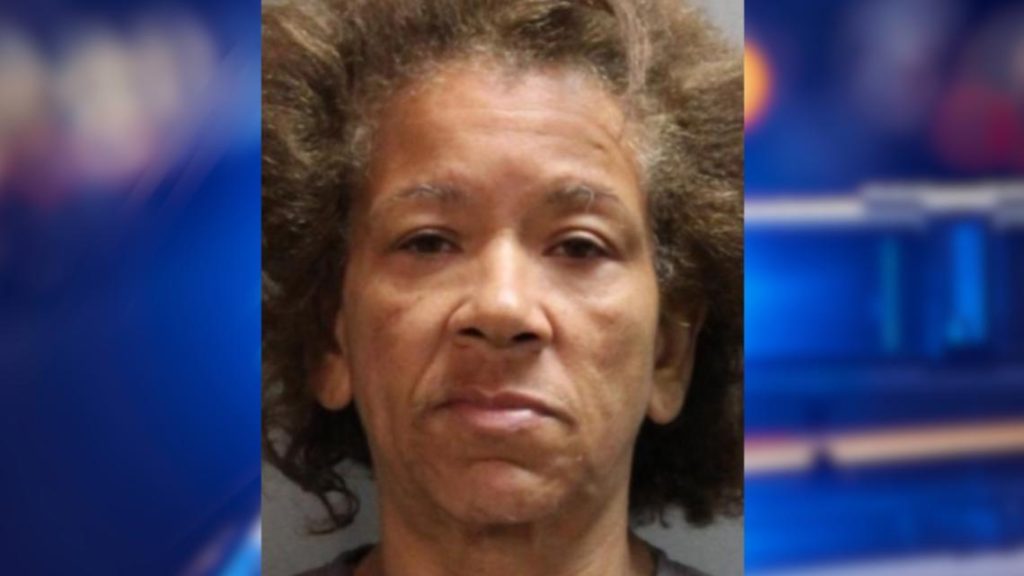 Police: Jacksonville woman charged with murder, accused of setting man on fire