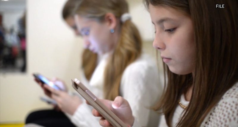 Potential statewide cell phone ban moves past House of Representatives