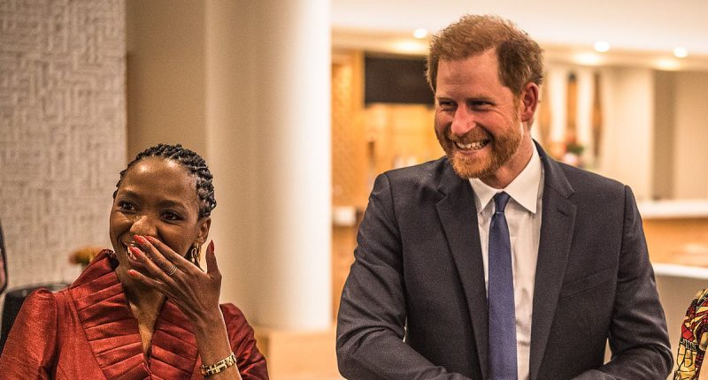 Prince Harry in astonishing 'racist, sexist bullying' row: Chairwoman of his beloved African charity makes thinly veiled swipe at those who 'play the victim card' and accuses colleagues of 'harassment and misogyny' - after he QUIT amid bust-up with her