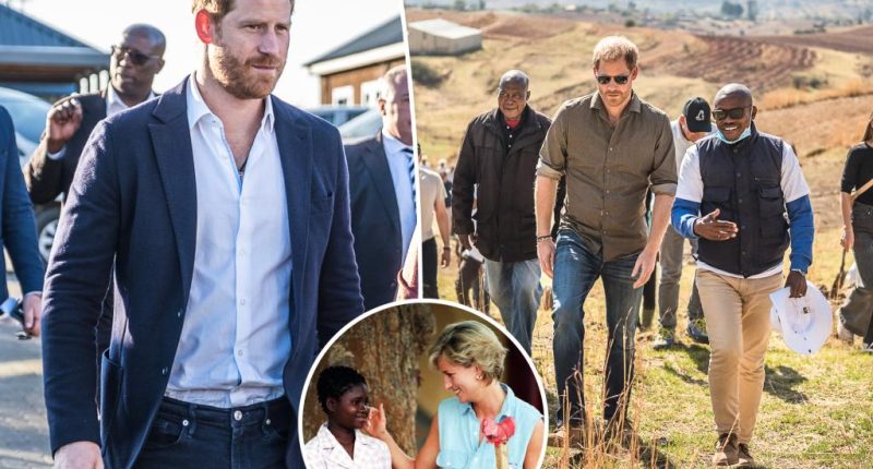 Prince Harry quits African charity founded in Princess Diana’s honor: ‘Unthinkable’