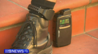Principals say they've been blindsided by a state government trial, that would put youth offenders wearing ankle bracelets in Melbourne classrooms.