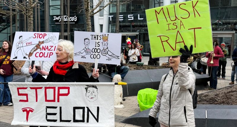 Protests hit Tesla stores to oppose Elon Musk's DOGE policies