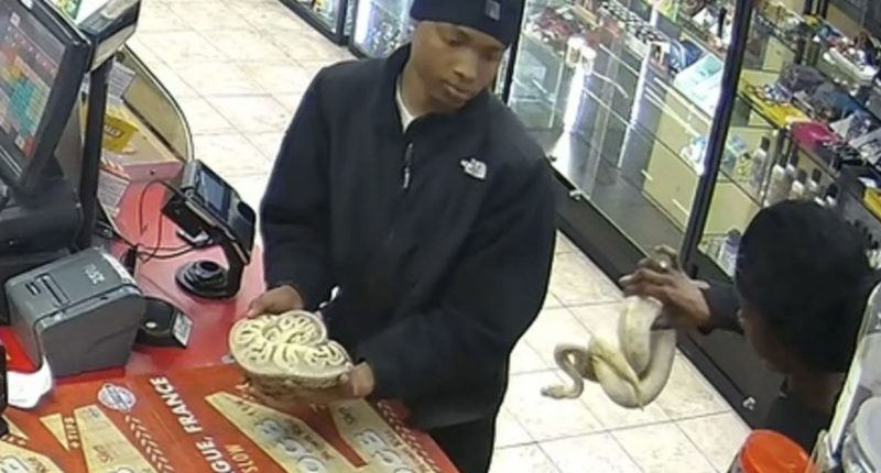 Python-wielding robbers stole $400 of CBD oil: Police