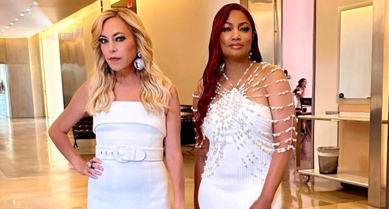 RHOBH's Sutton Stracke Reacts to Garcelle Exit Amid Rift Rumors