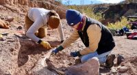 Rare mammoth tusk discovered in West Texas