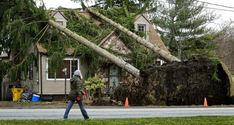 Residents pick up the pieces after devastating storms scour the US South and Midwest