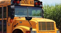 Respect the stop: Prioritizing school bus safety on our roads