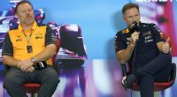 Revealed: The REAL expletive Christian Horner called the McLaren CEO 'which had to be edited out' after Netflix showed Red Bull boss describing rival as a 'p****'