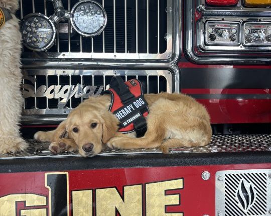 Saluda County Fire Service welcoming a new member, Hope, a therapy dog through K9 Responder Foundation