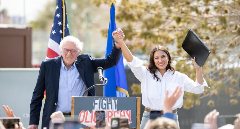 Sanders-AOC rallies setting stage for protest movement: Activist