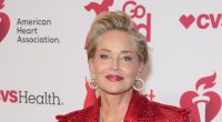 Sharon Stone Claims She Was 'Unexpectedly' Cut From 'A Simple Favor 2'