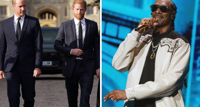 Snoop Dog makes bold statement on reuniting Prince Harry and Prince William amid feud
