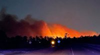 South Carolina Governor Declares State of Emergency Due to Wildfires