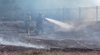 South Carolina is under a burn ban due to dozens of wildfires