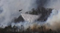 South Carolina wildfire keeps growing as firefighters protect homes