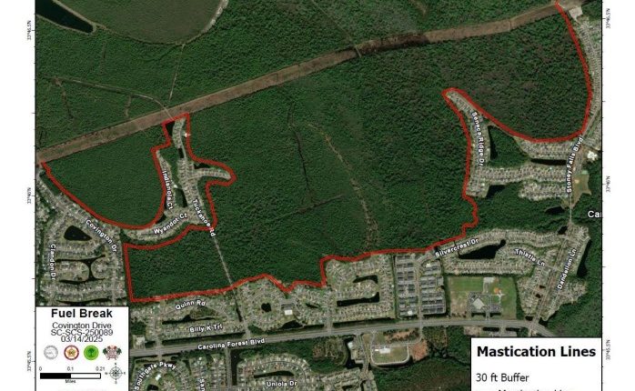 South Carolina wildfire suppression efforts begin Monday