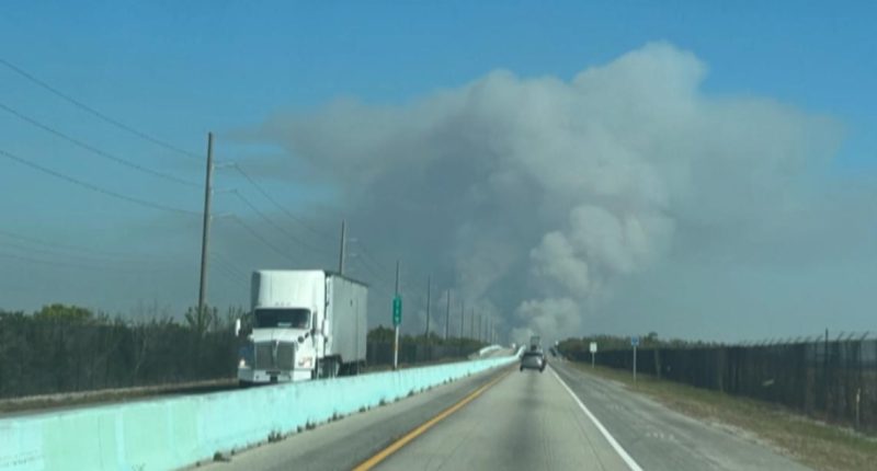 South Miami-Dade wildfire 'under control,' officials say