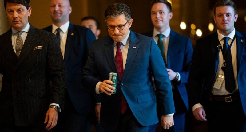 Speaker Johnson: Waltz, Hegseth shouldn’t be disciplined over war plans Signal chat