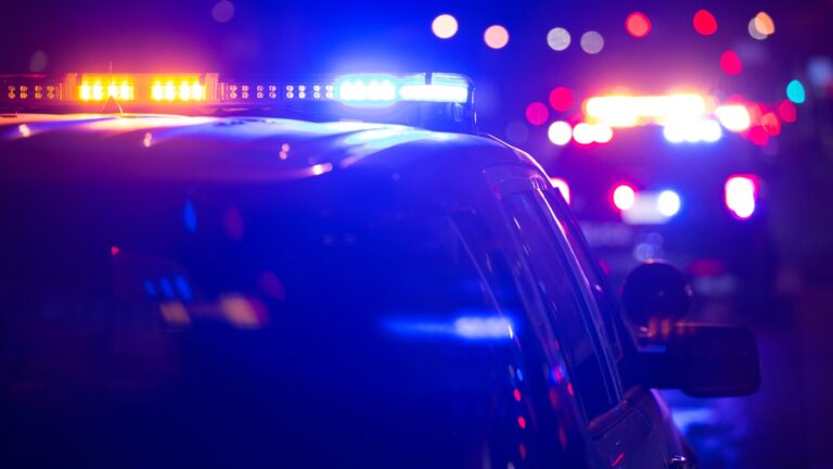 Tragic Incident at 2026 Easter Egg Hunt: Strong Winds Cause Tree Collapse, Resulting in Three Fatalities Near Satrupholm, Germany