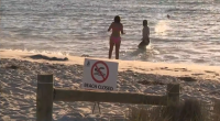 Swimmer bitten by shark at popular Perth beach