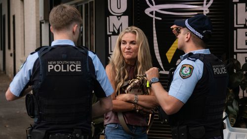 Sydney socialite accused of drunkenly swiping parked cars, assaulting cop