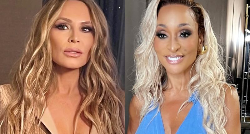 Tamra Judge Slams Karen Huger’s Court Statement, Claims RHOP Star Didn’t “Take Accountability” as Dolores Catania Calls Her Narrative “Bulls**t”
