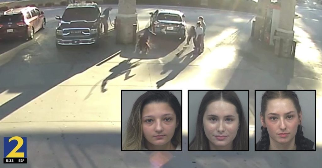 Teen flings attacker during fight over prom dress: Police