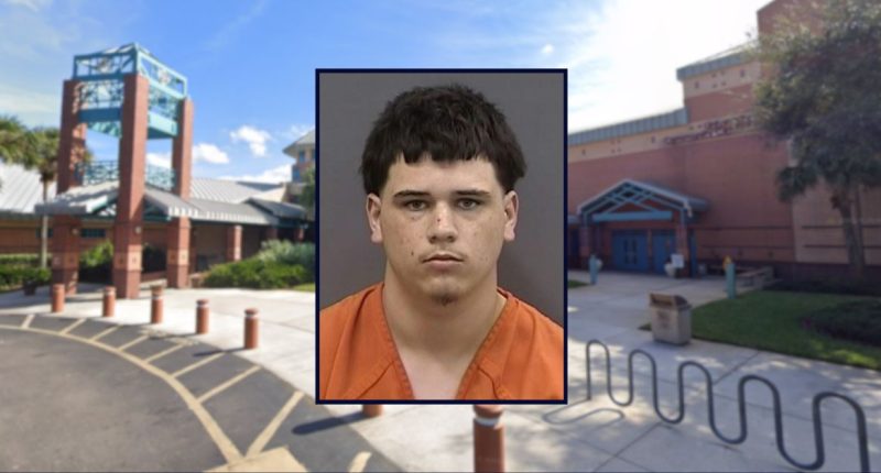 Teen 'stomped' on older woman's head in fatal assault: Cops