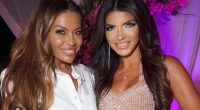 Teresa Giudice and Dolores Catania Address RHONJ Pause