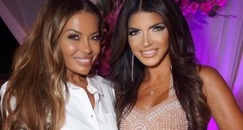 Teresa Giudice and Dolores Catania Address RHONJ Pause