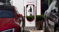 Tesla faces protests in Florida, globally amid Musk's DOGE cuts