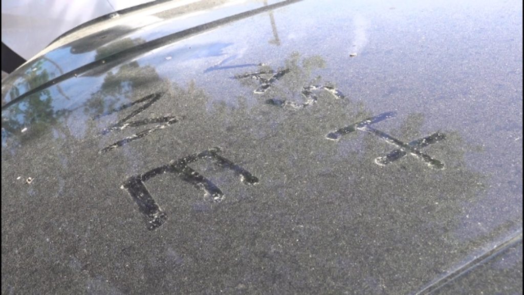 The importance of monitoring pollen in Jacksonville