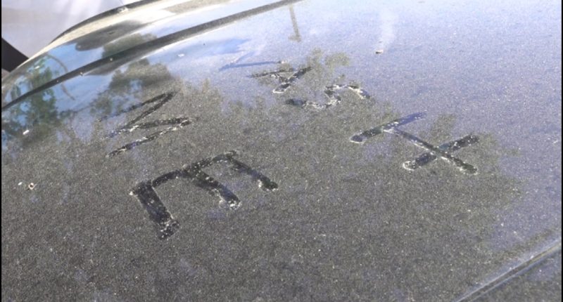 The importance of monitoring pollen in Jacksonville