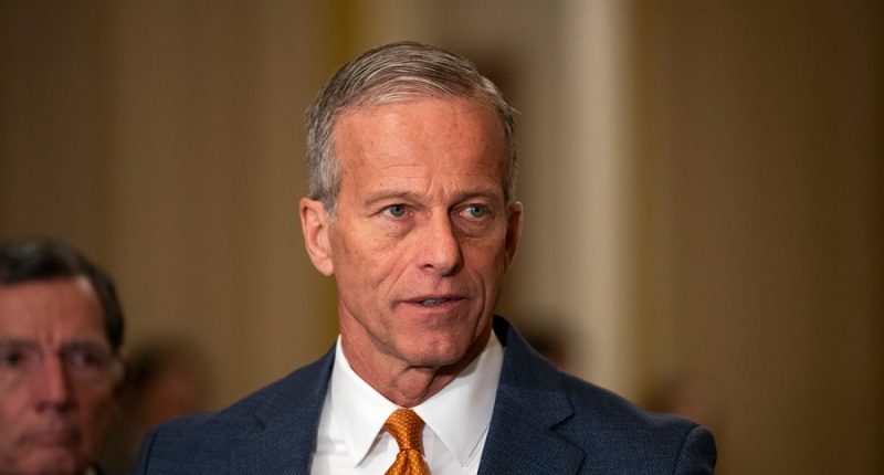 Thune says Senate will consider bill to restrict trans athletes 'early next week'