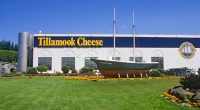 Tillamook offers free ice cream in response to viral 911 call