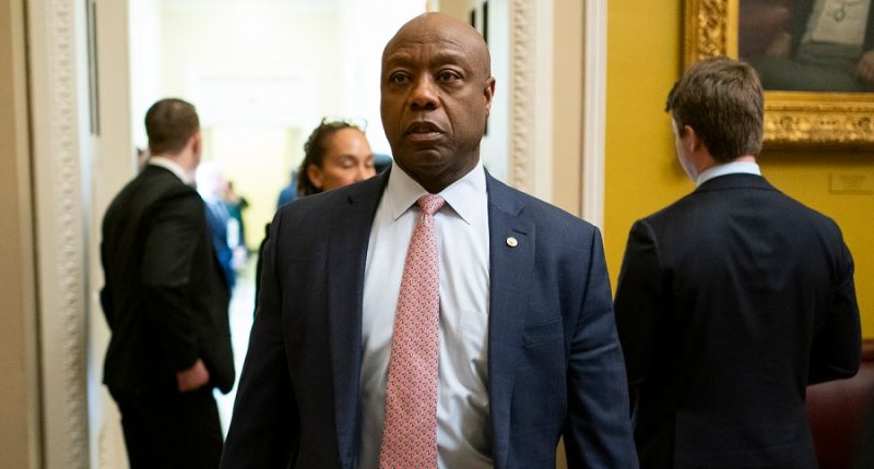 Tim Scott unveils bill targeting debanking